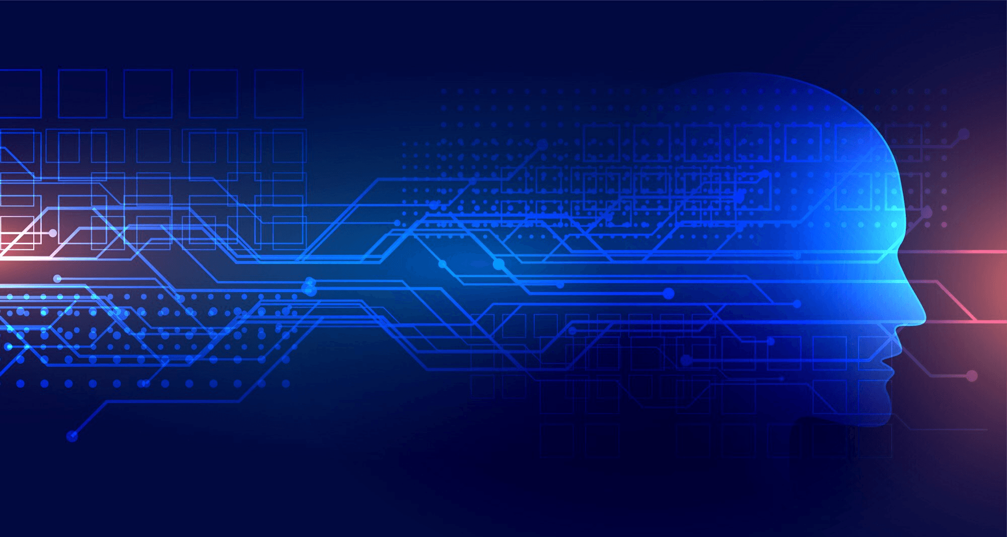 The Fastest Growing Software Company