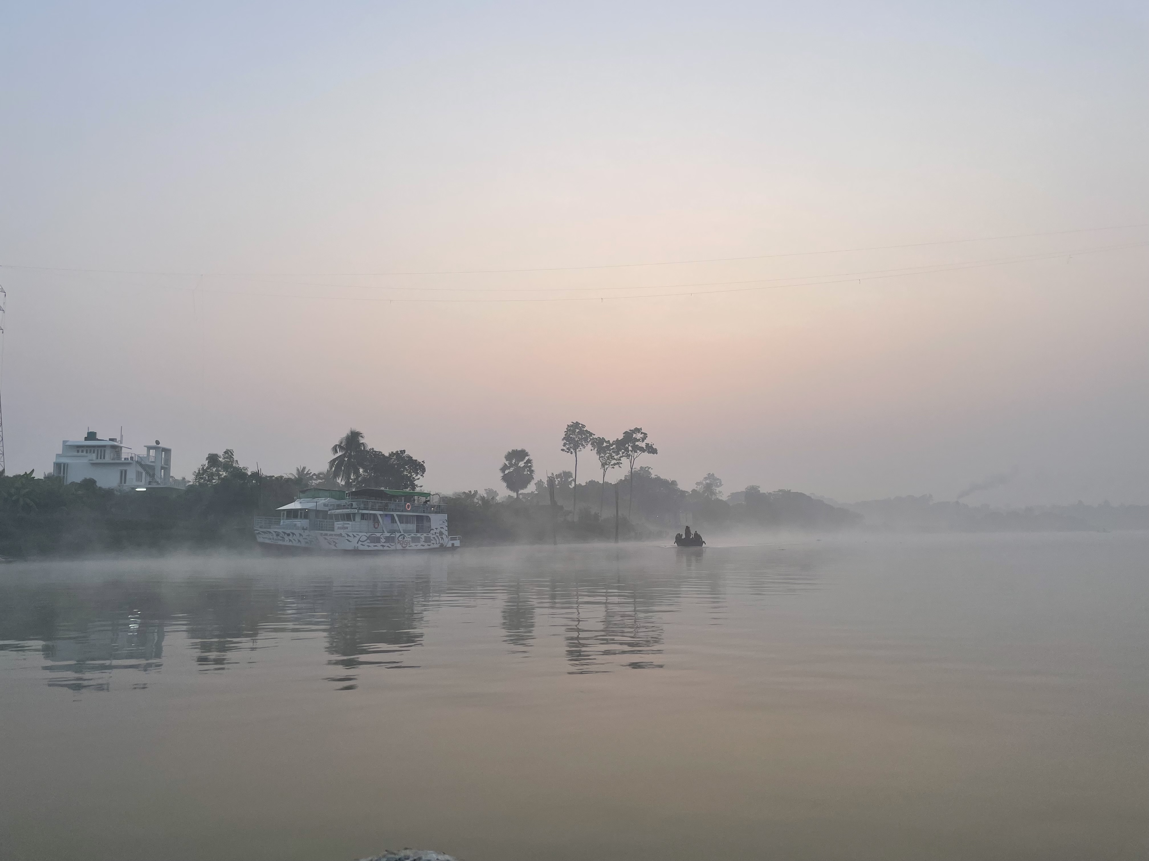 Sundarban 🌿🐅 photo 10