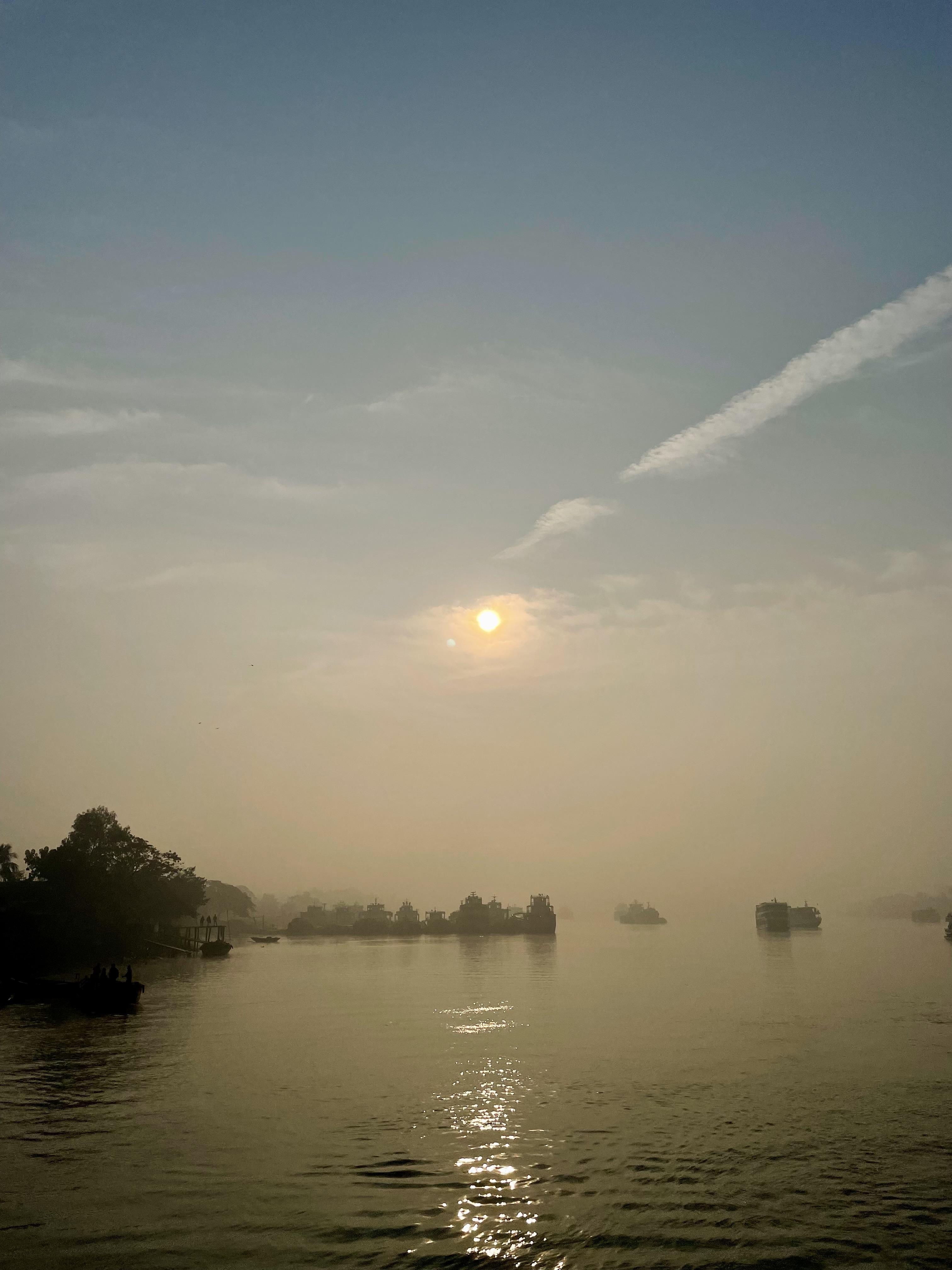 Sundarban 🌿🐅 photo 8