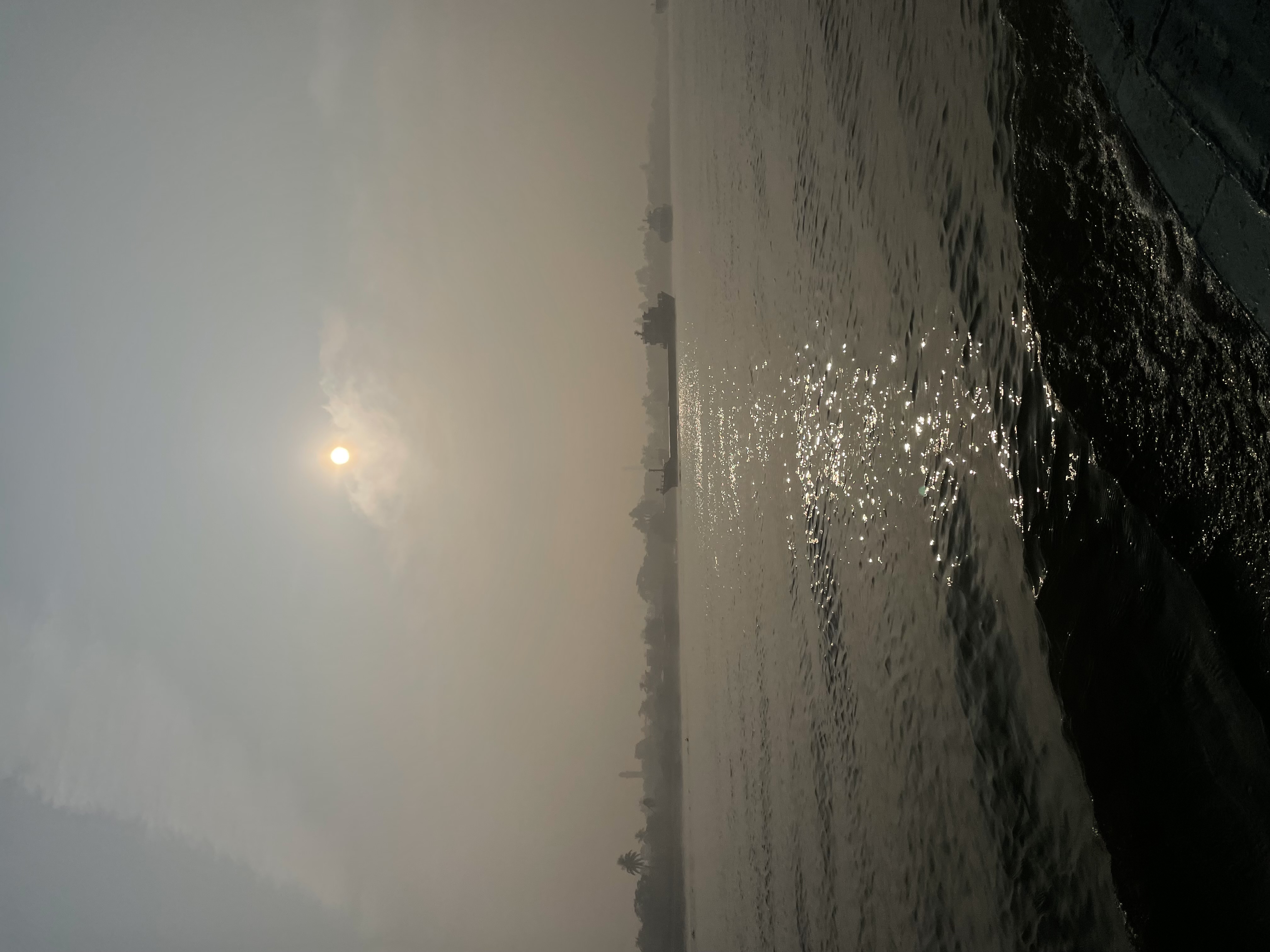 Sundarban 🌿🐅 photo 7