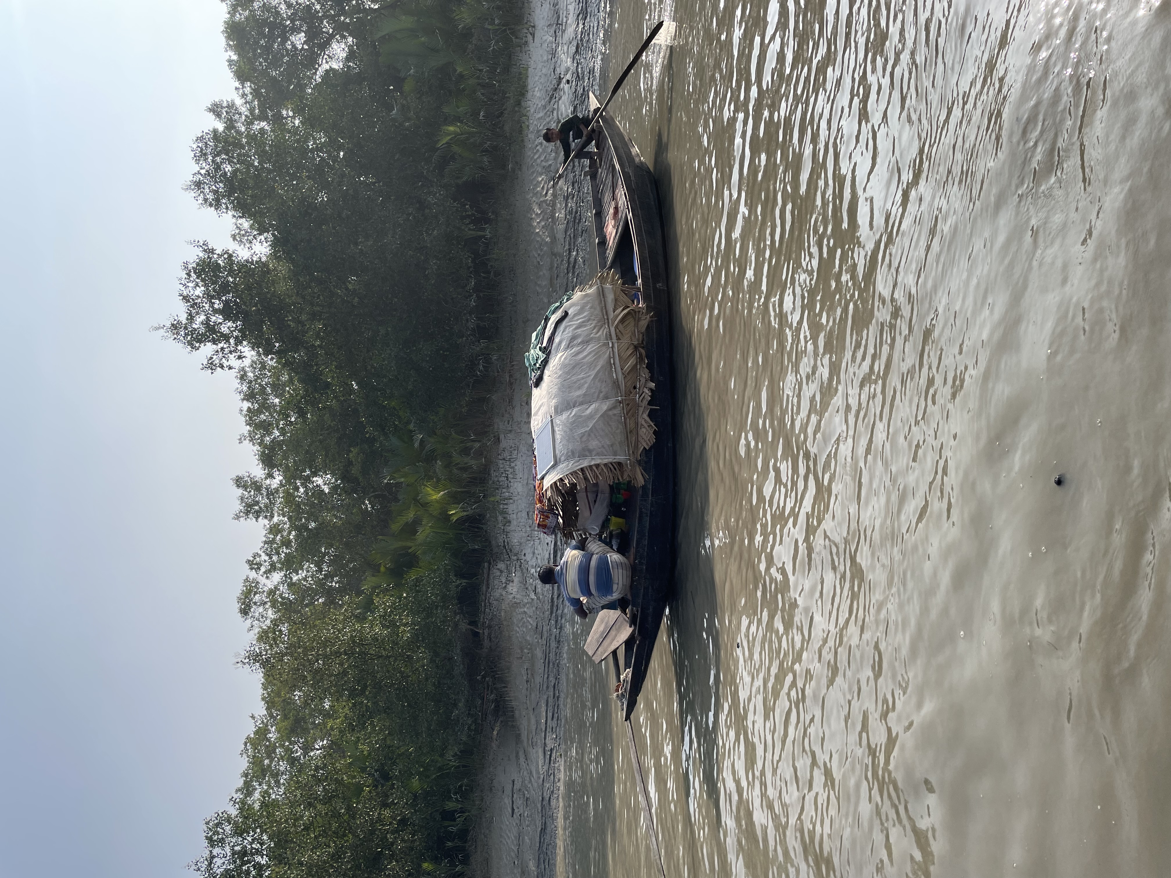 Sundarban 🌿🐅 photo 3