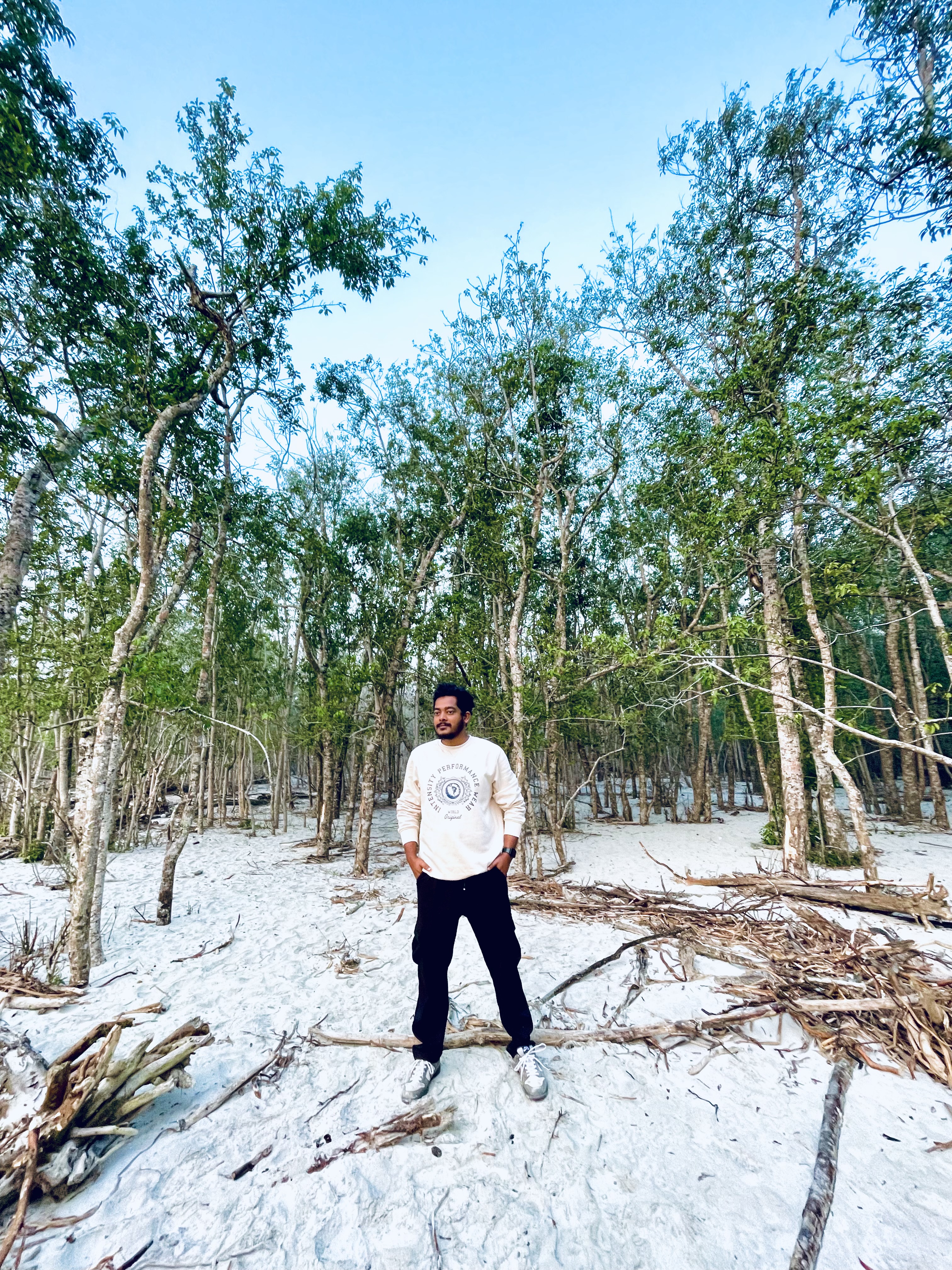 Sundarban 🌿🐅 photo 20